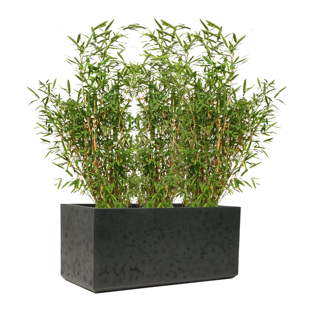 Gartentopf Rockline