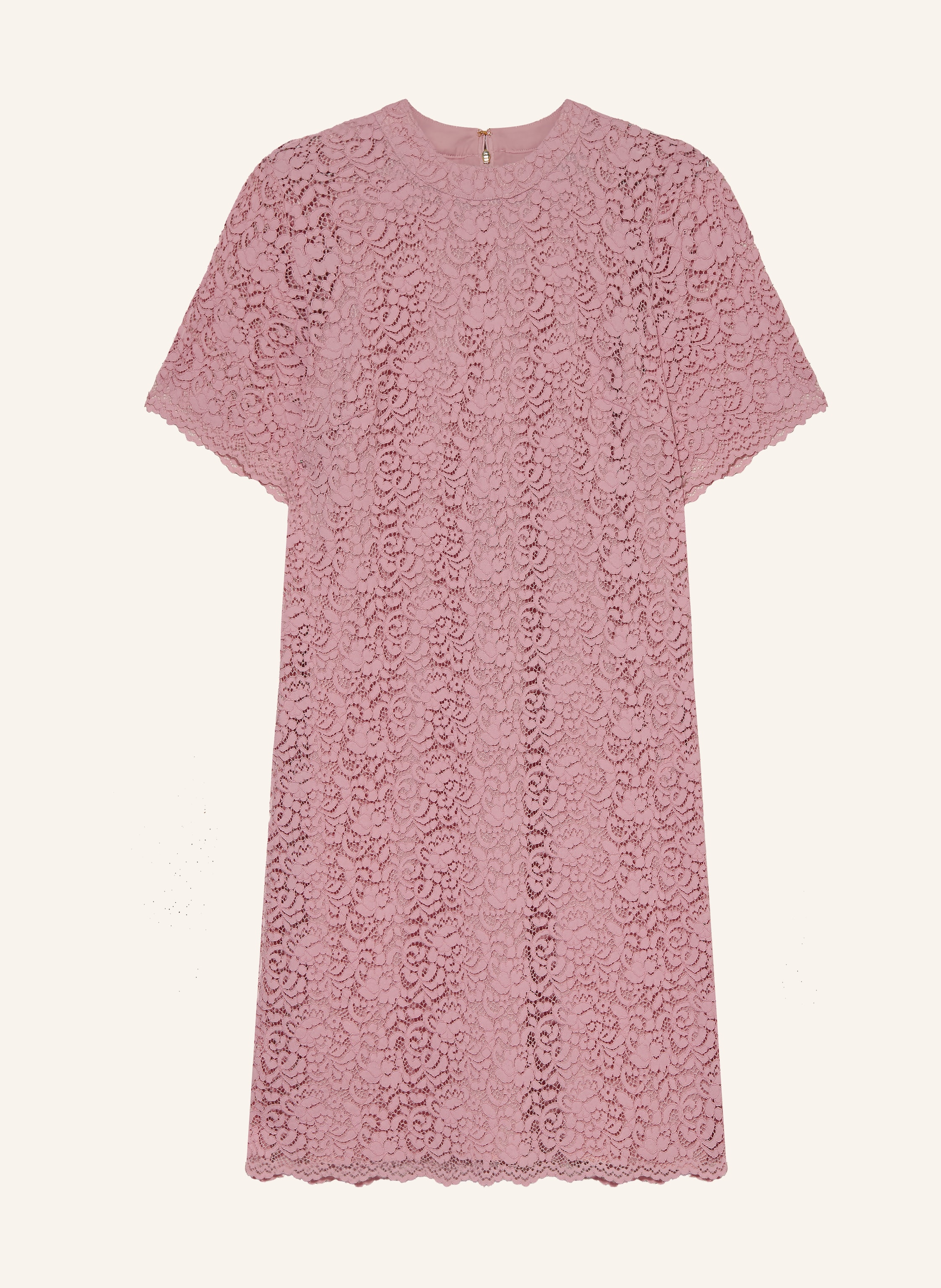 JOOP! Spitzenkleid DARLENE