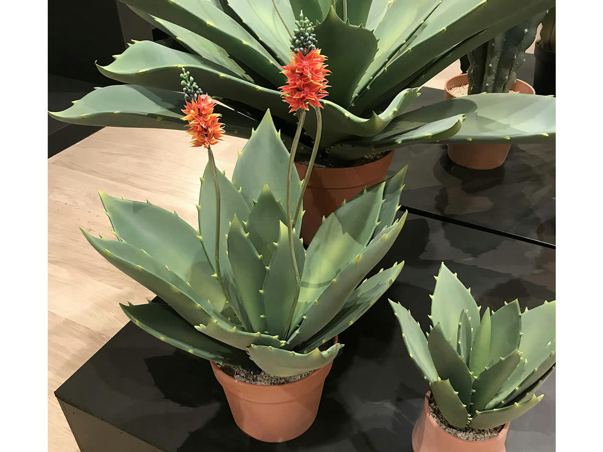 - Agave fleurie artificielle en pot plastique vert et rouge