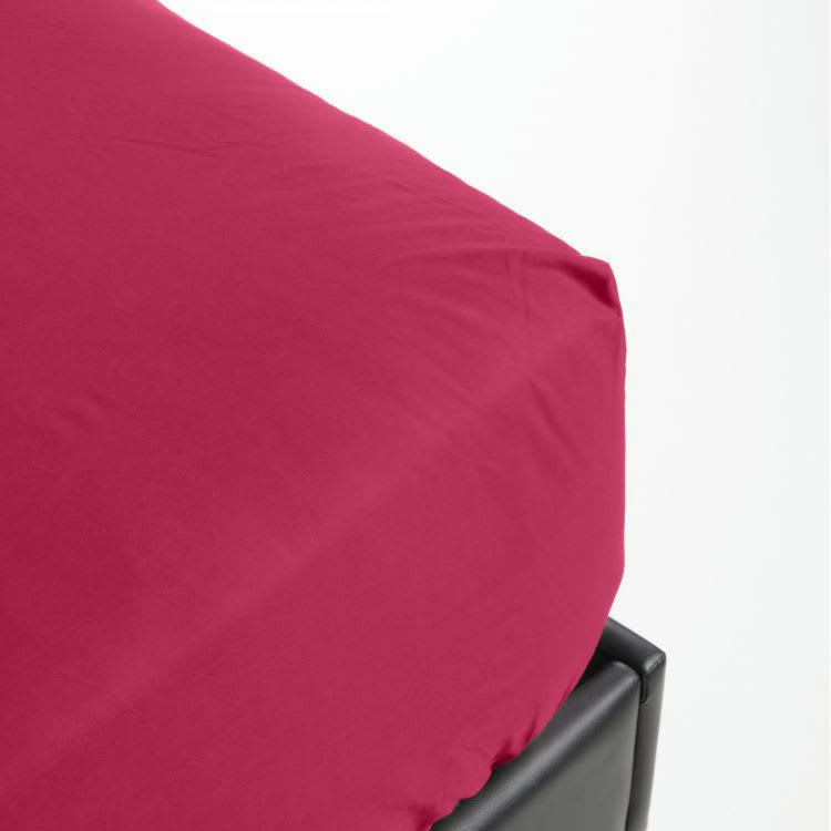 PERCALE MONTELEONE - Drap housse en Coton Rose 2x90x200 cm