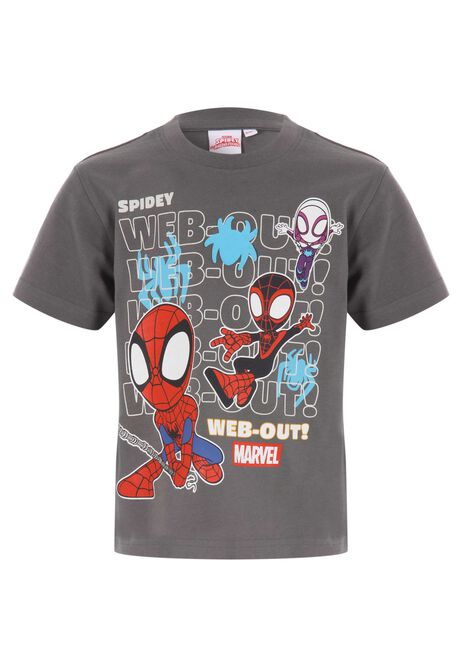 Younger Boys Charcoal Spidey Web Out Graphic T-Shirt
