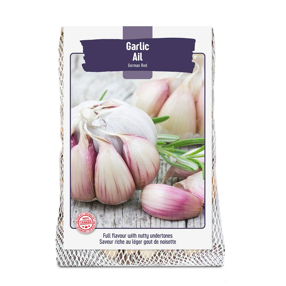 Bulbs Are Easy, German Red Fall Garlic Bulbs, Ready to Plant for your Home Garden