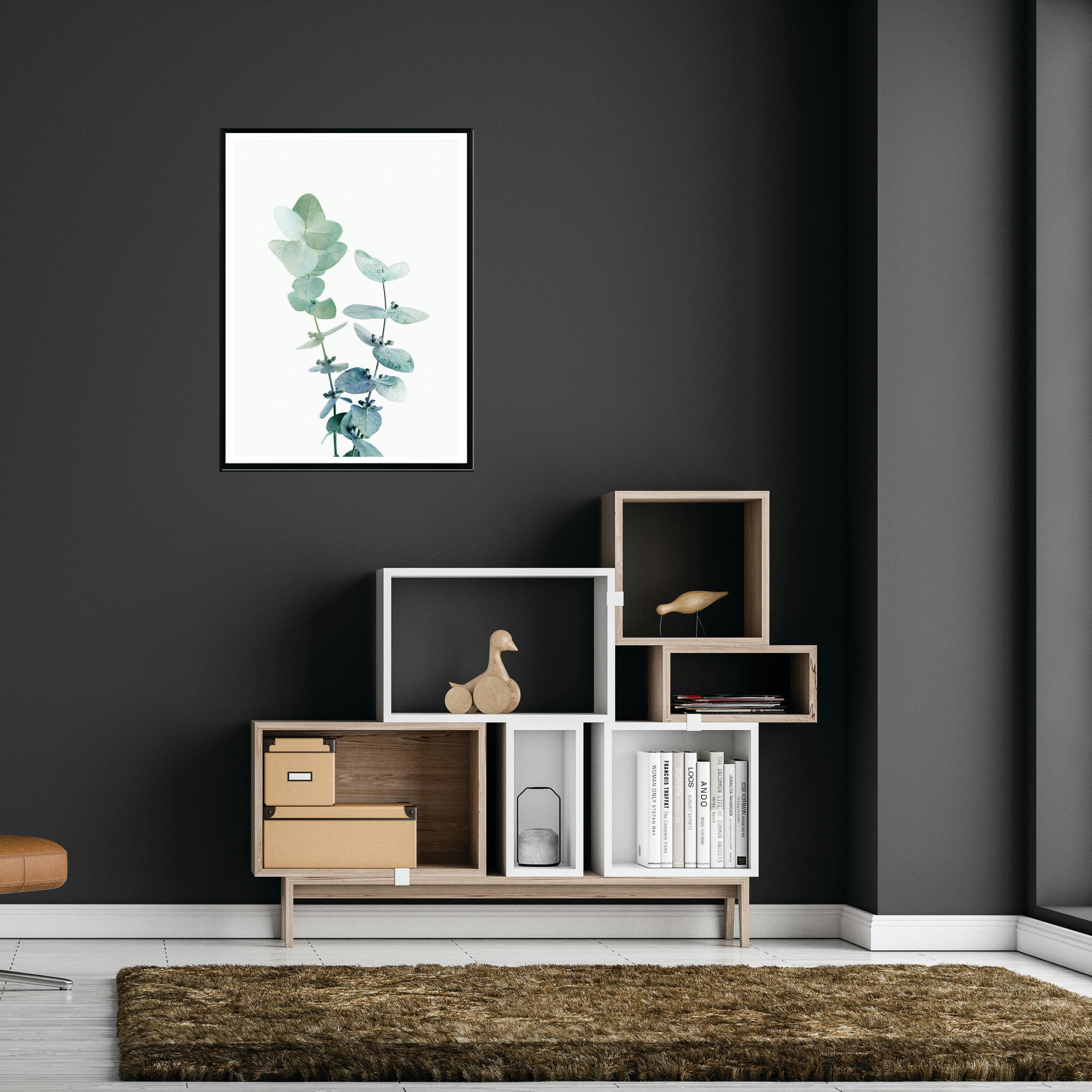 PLANTAS - Affiche avec cadre noir - Eucalyptus vert - 50x70