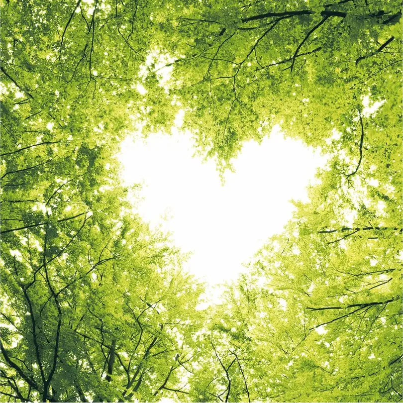 Serviette 20er-Set Nature Love