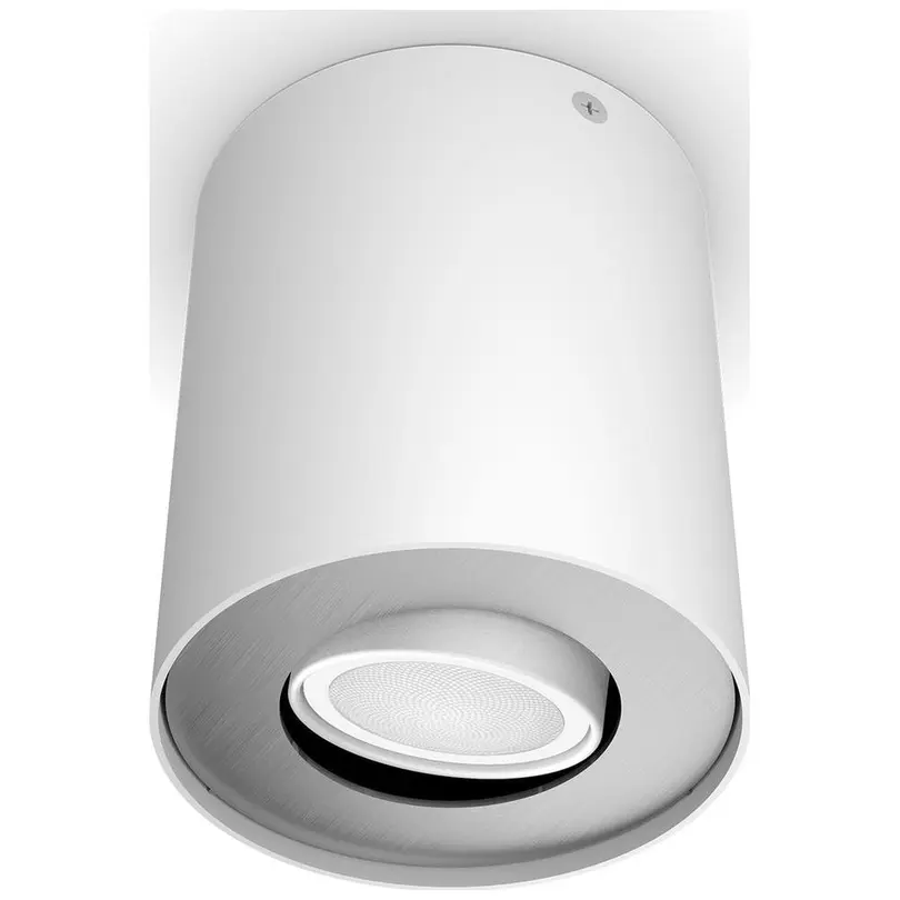Spot Philips Hue