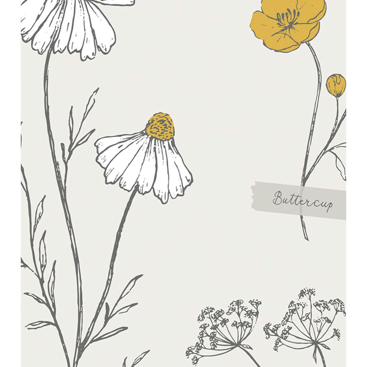 CHAMOMILLE - Cadre fleurs séchées en Papier Beige