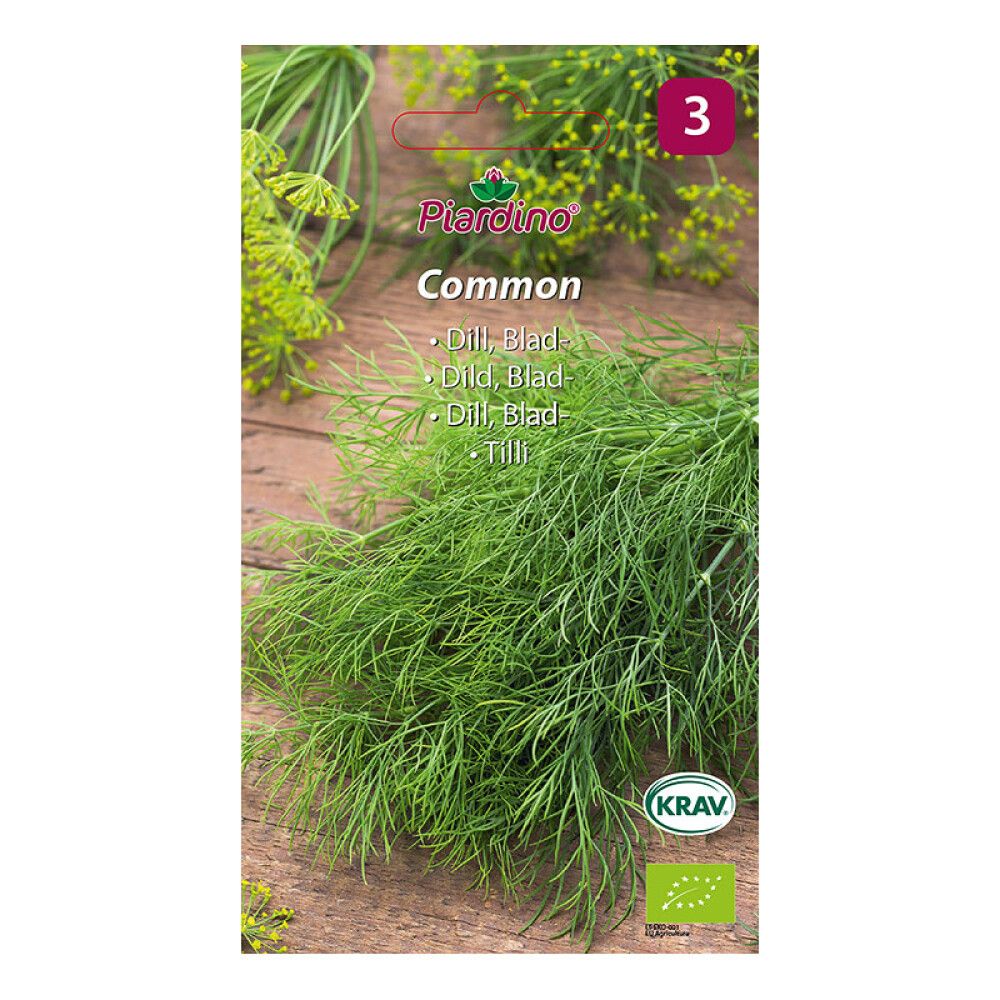 KRYDDERURTER PIARDINO DILL COMMON