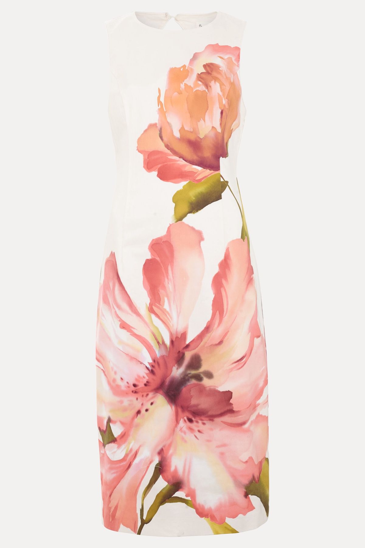 Phase Eight Nadina Floral Dress
