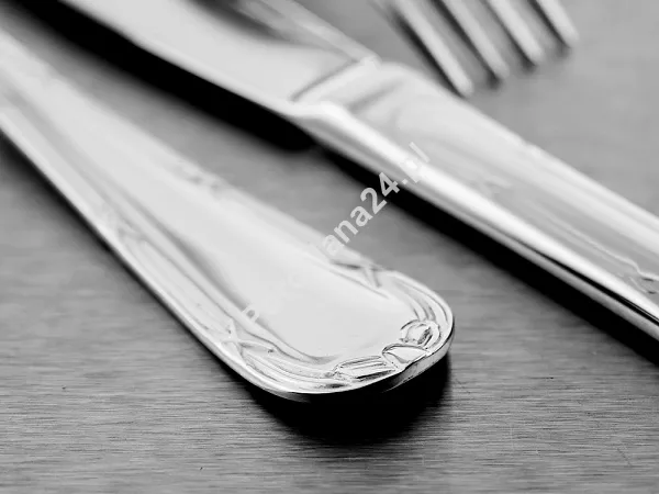 Komplet sztućców 24 cz. na 6 sób Pintinox 1929 - Filet (2.5 mm) ECObox 23.FIL.K24