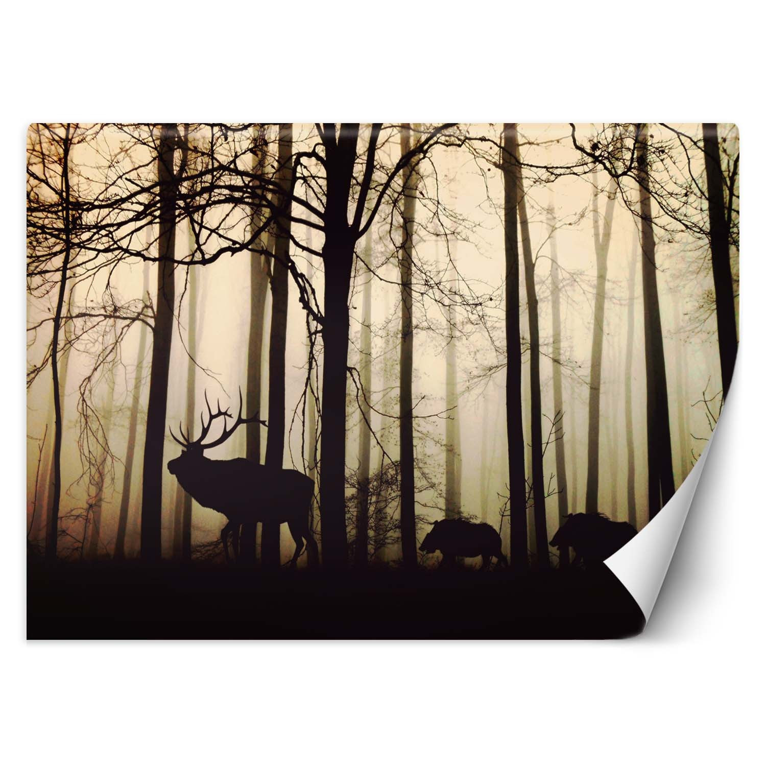 Feeby Fototapeta, Zwierzęta w lesie 150x105