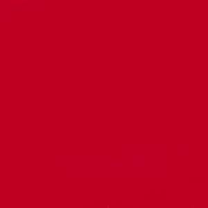 Ziggy Elite Twin Grill LPG BBQ