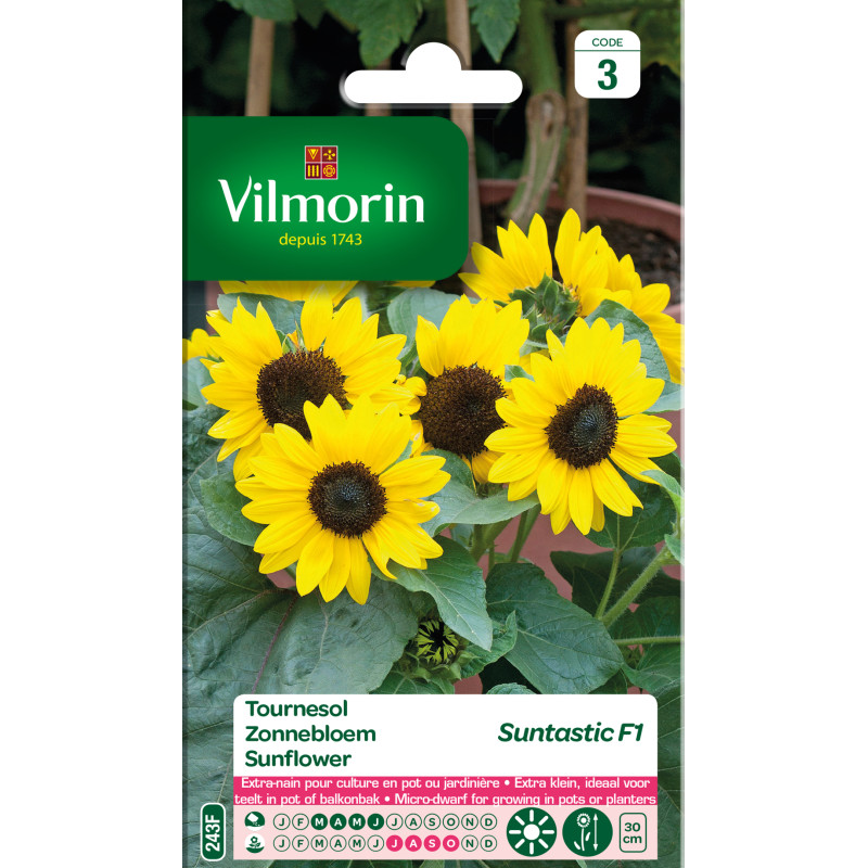Semences de tournesol Suntastic F1 VILMORIN