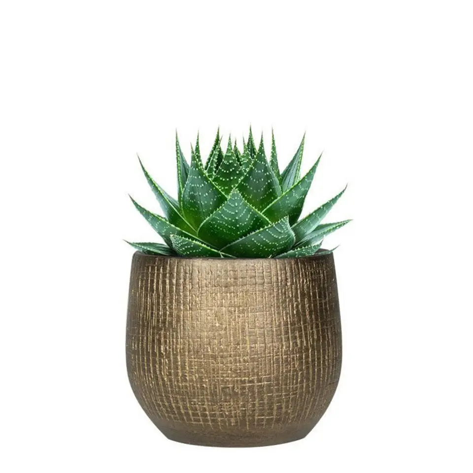 Ter Steege Plantenpot - modern design - goud - 20 x 22 cm