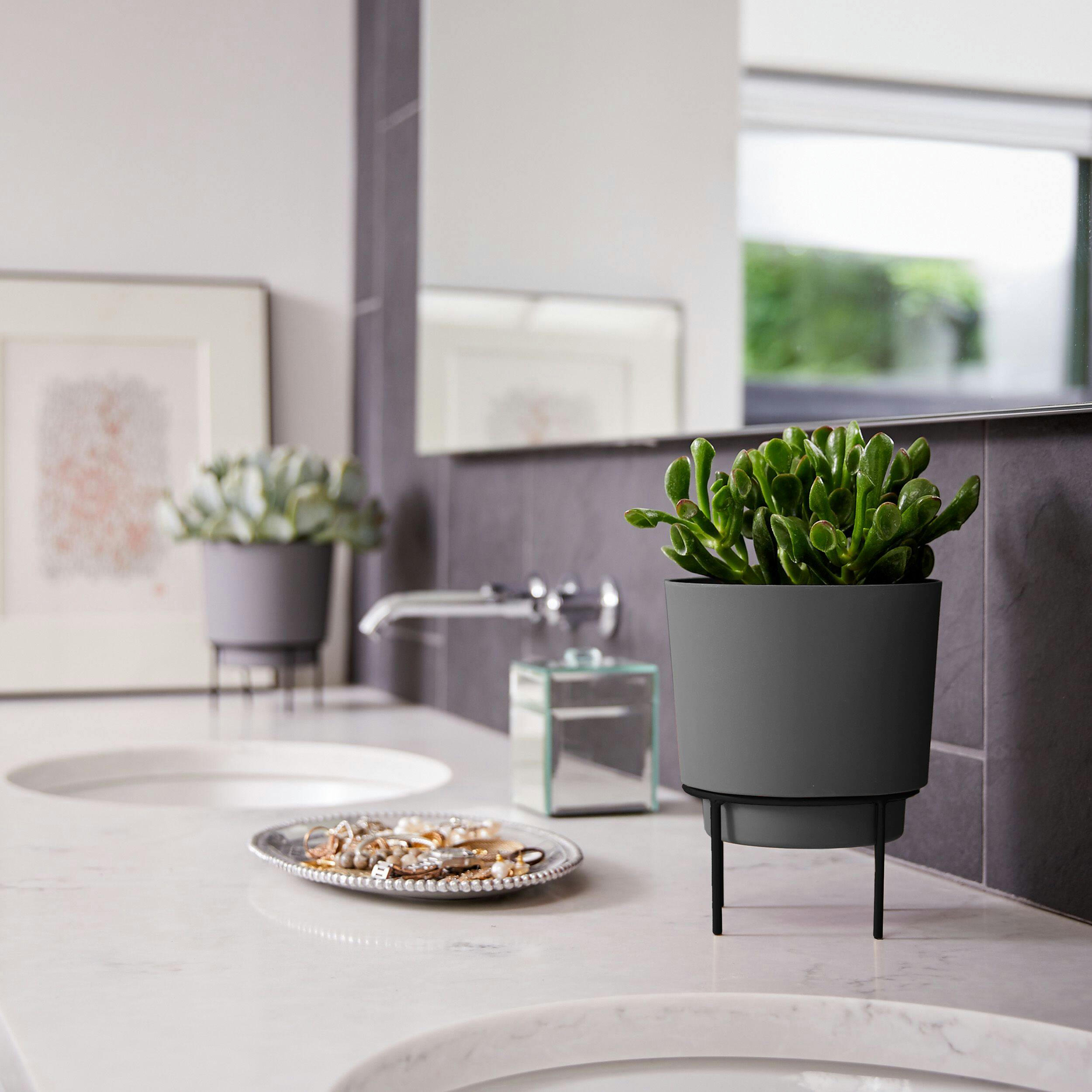 Bloem Hopson Round Planter with Metal Gold Stand, 6-in, Charcoal Grey