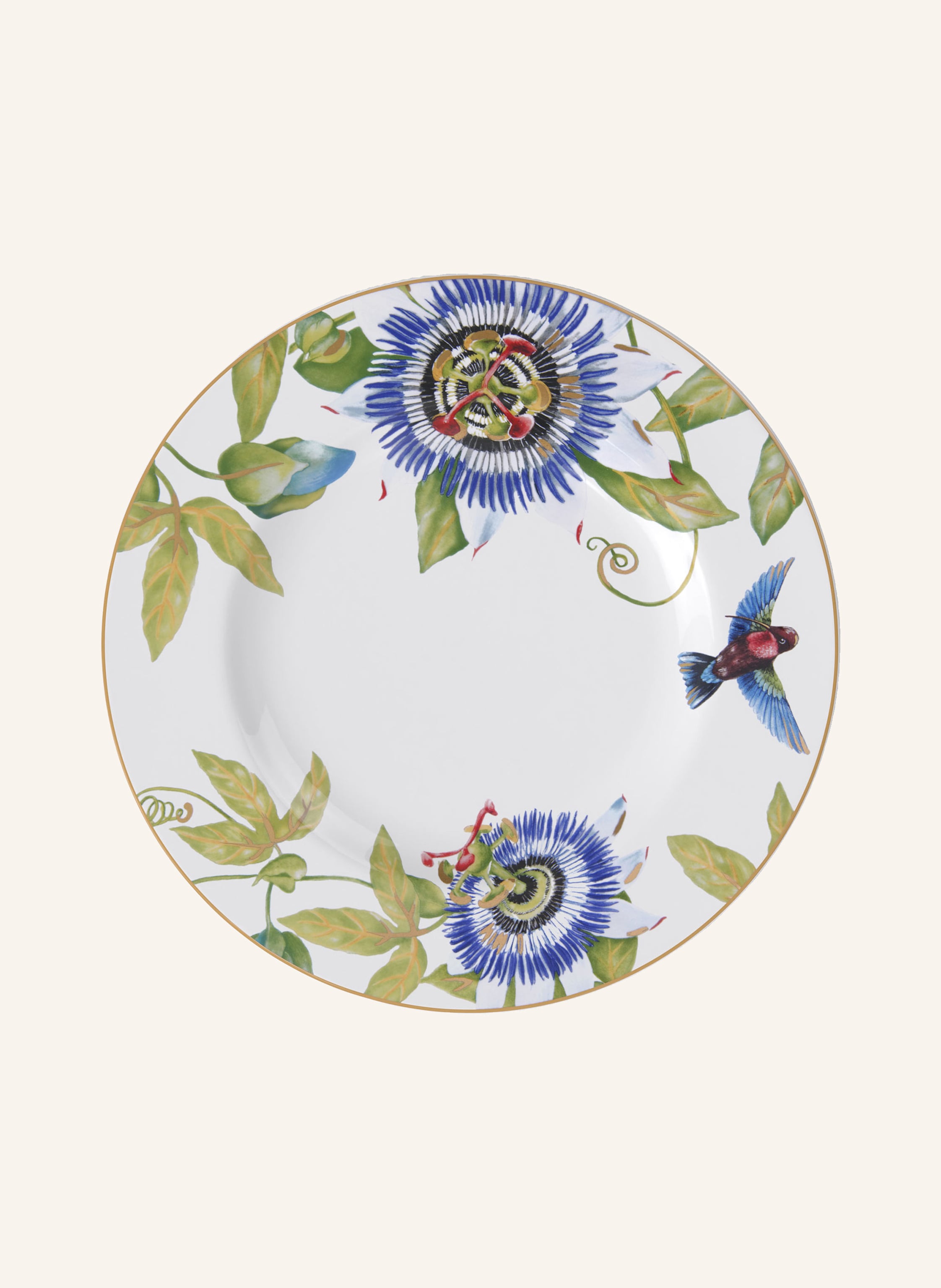 Villeroy & Boch Speiseteller AMAZONIA