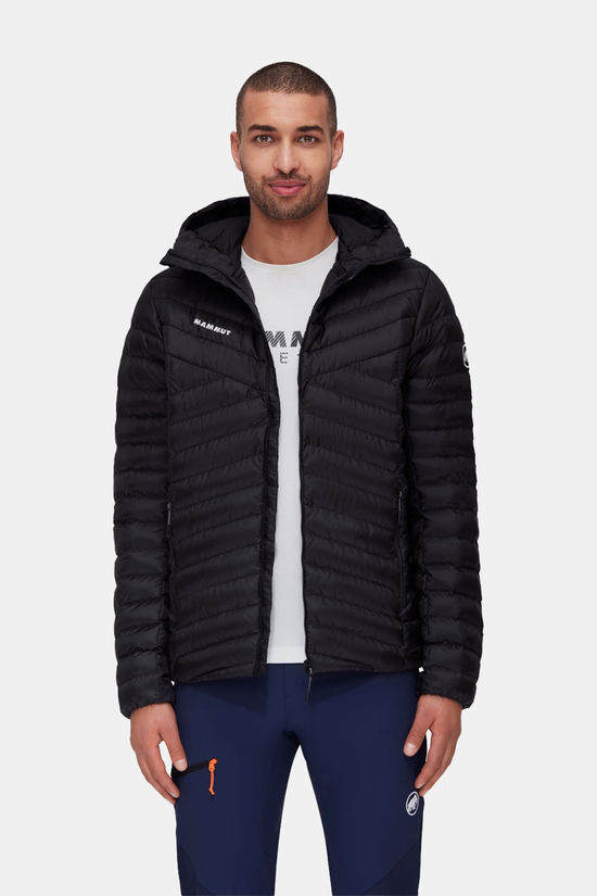Mammut Albula In Hooded Isolatiejas