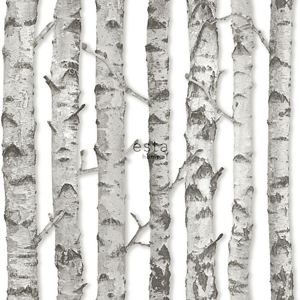ESTAhome papier peint troncs de bouleau gris chaud clair 53 cm x 10.05 m