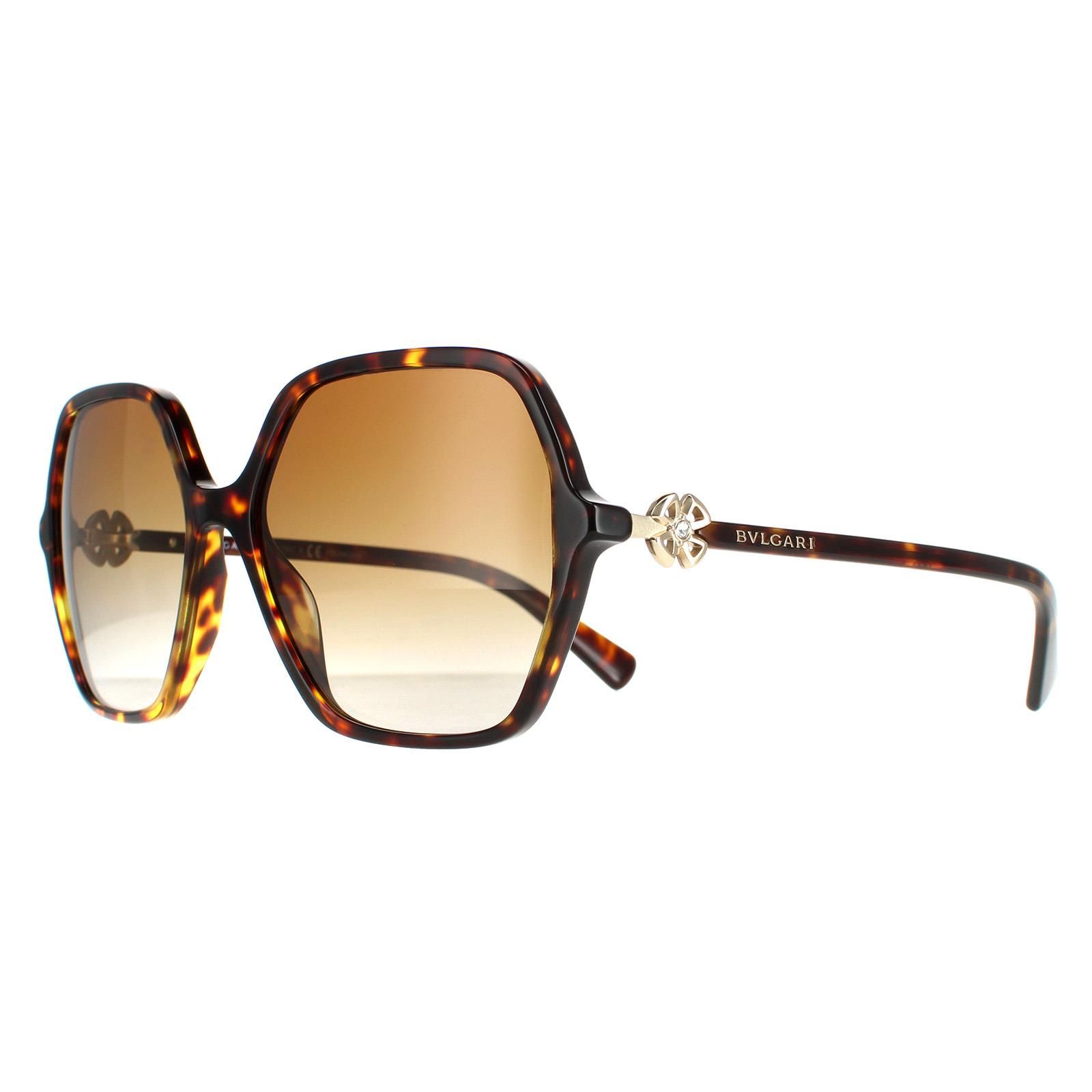 Bvlgari Square Havana Brown Gradient Polarized BV8238B