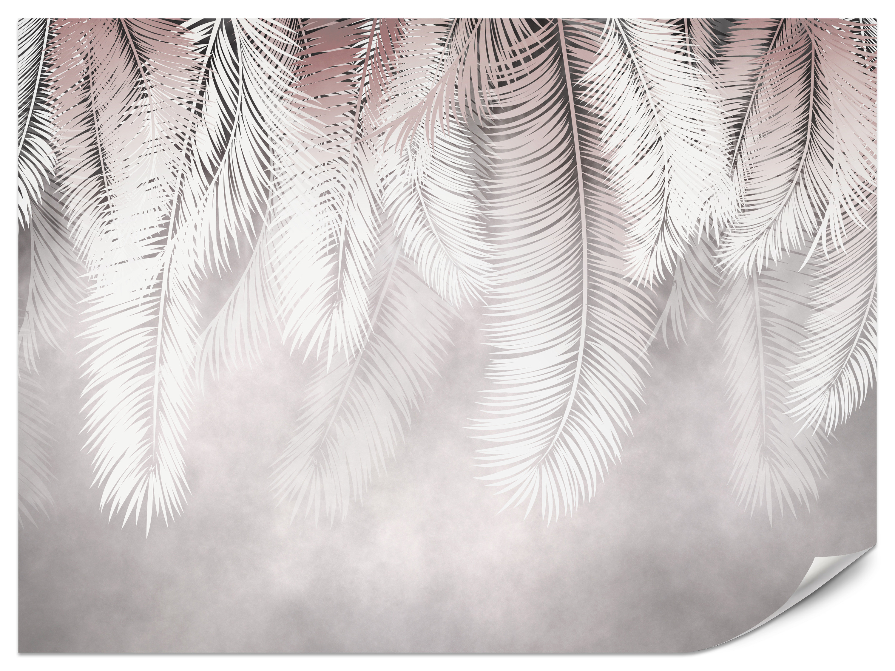 Fototapeta Duże liście palmowe 100x70cm