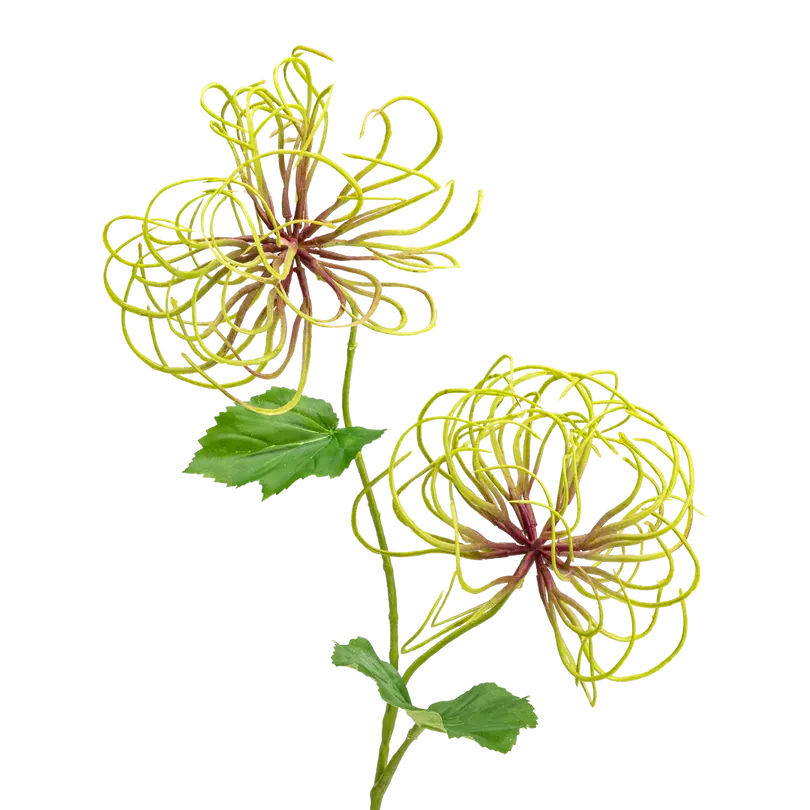 Dekozweig Flora