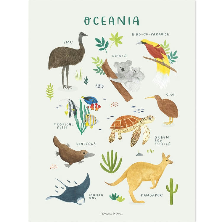 LIVING EARTH - Affiche Animaux d'Océanie (30 x 40 cm)