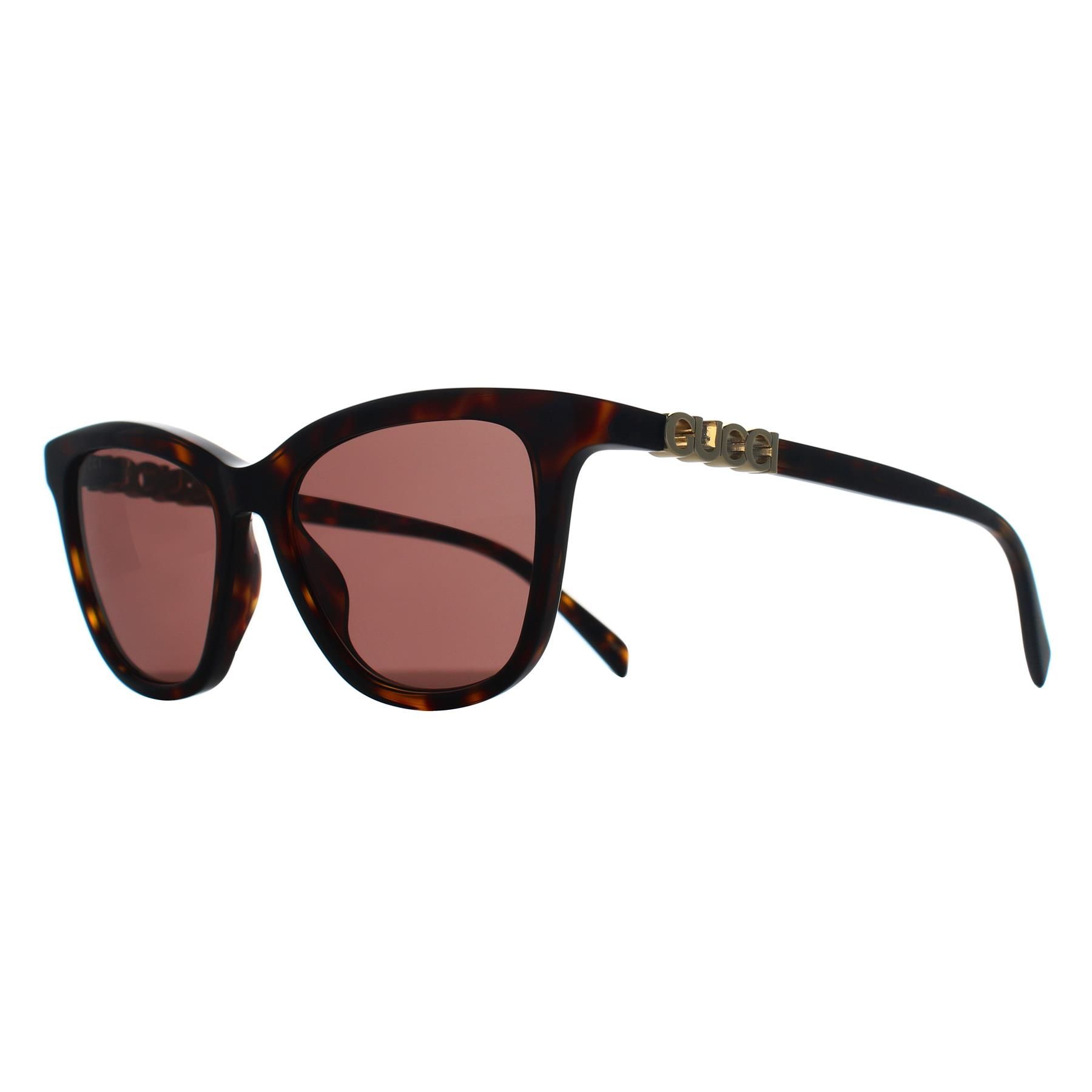 Gucci Cat Eye Havana Brown GG2032S