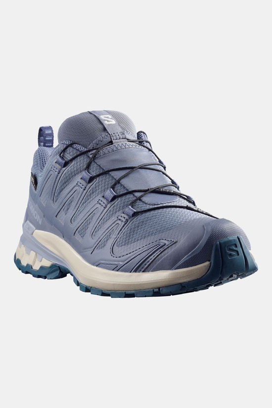 Salomon XA Pro 3D V9 Gore-Tex Trailschoen Dames