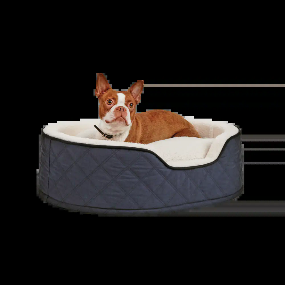 Petco Cuddler Orthopedic Memory Foam Dog Bed, Washable, 28-in x 20-in, Blue