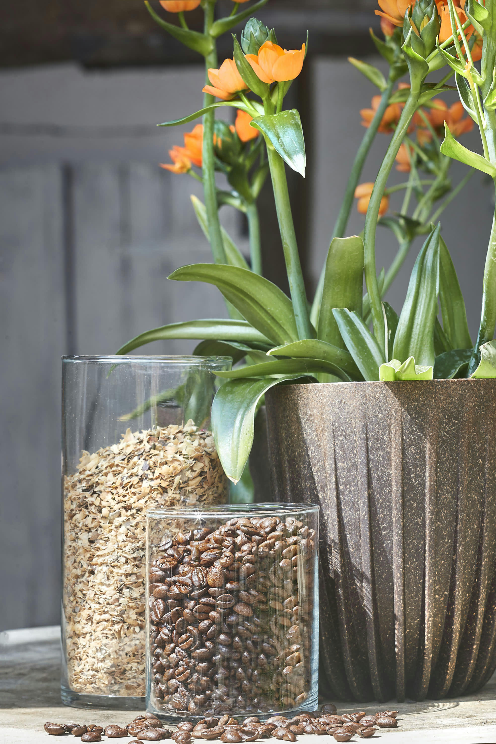 LUNGO - Cache-pot marron foncé D30