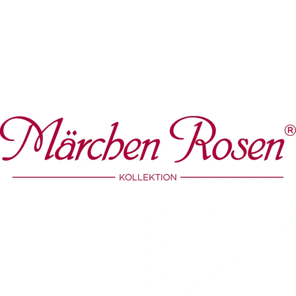 Beetrose, Rosa »Rosenfaszination®«, Blüte: rosa, gefüllt