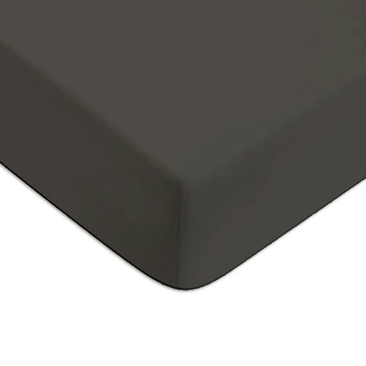 COTON UNIS - Drap housse coton  uni anthracite 90x200cm