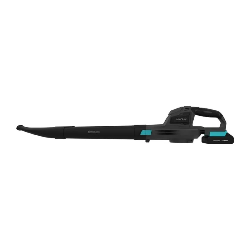Cecotec AirForce 2500 electric leaf blower