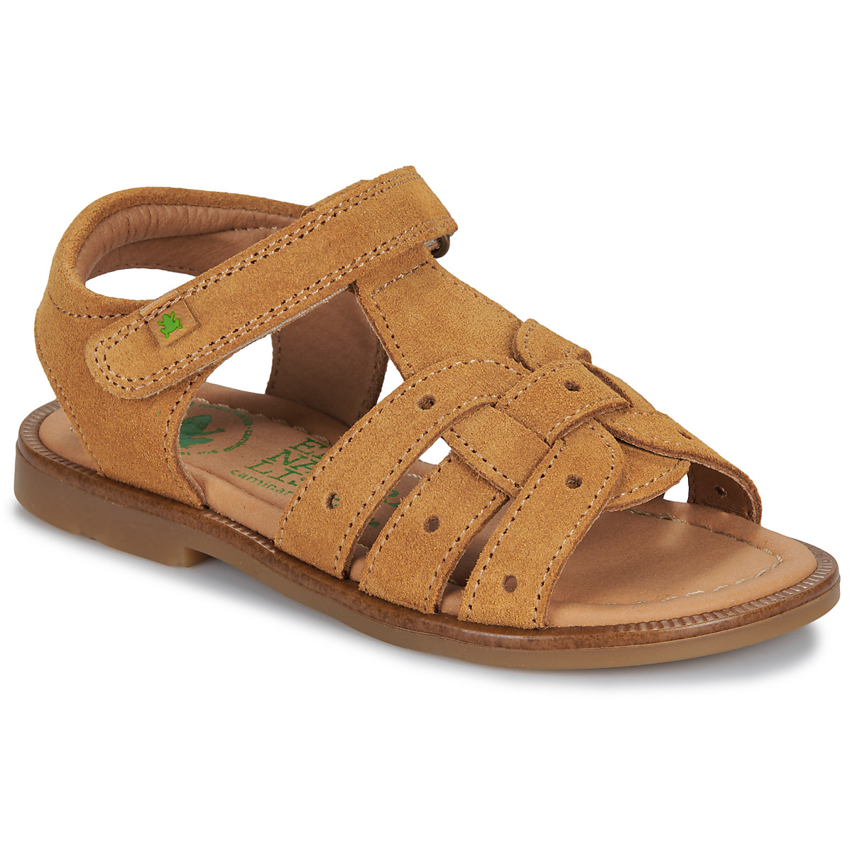 El Naturalista - 15275-SETTER - Camel