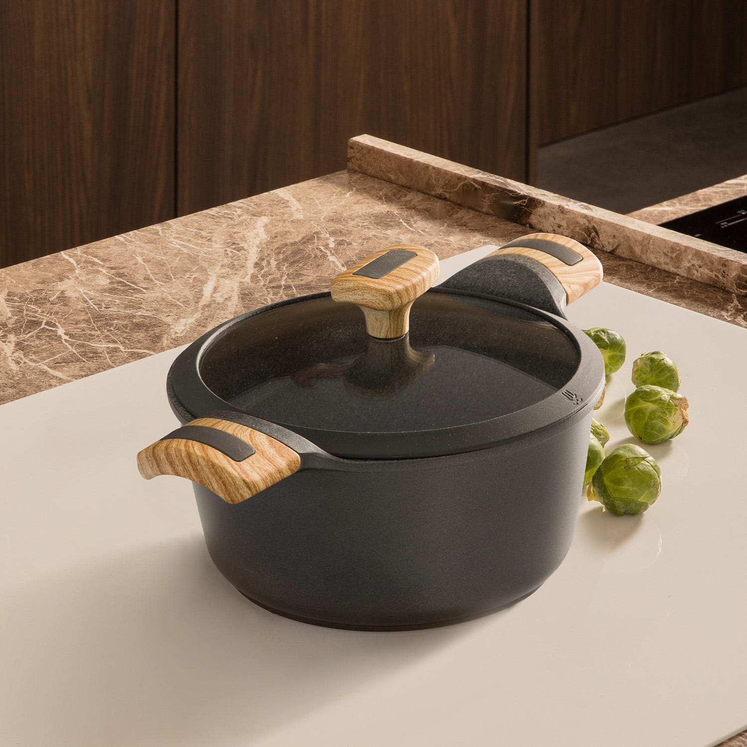 Casseruola 20 cm con coperchio Evolution