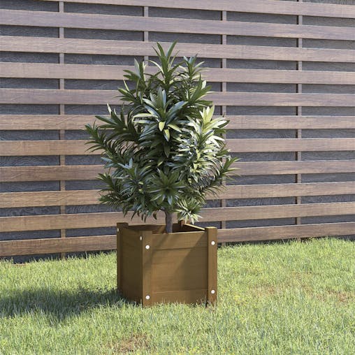 NNEVL Garden Planter Honey Brown 31x31x31 cm Solid Pinewood