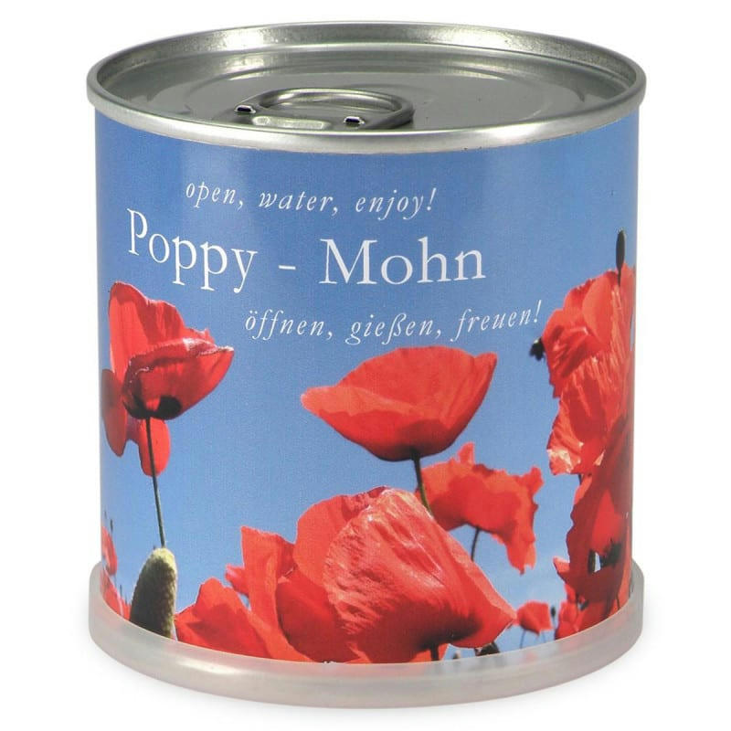 - Coquelicots à faire pousser en boite