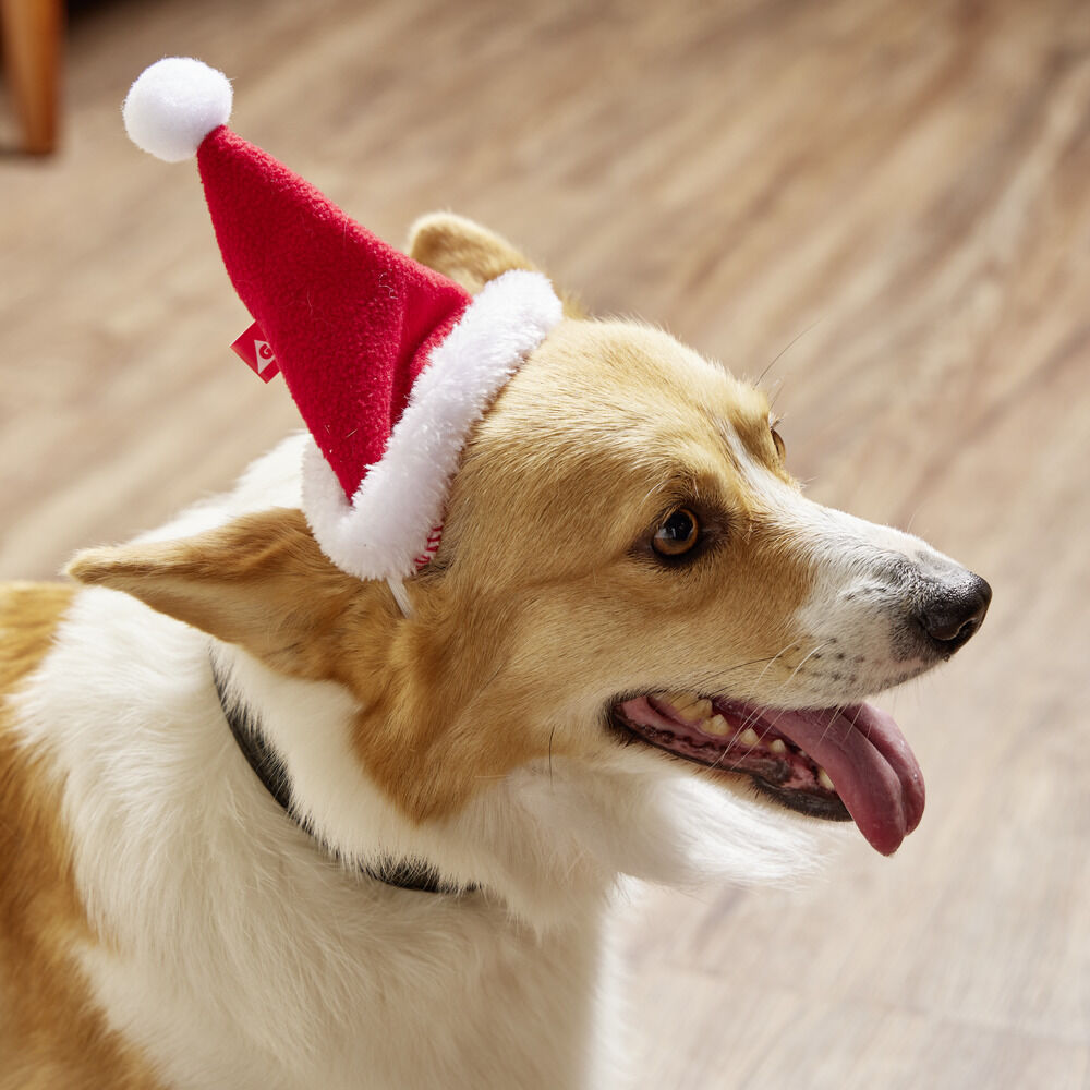 Bonnet pour chien Père No&euml;l L17xH13cm