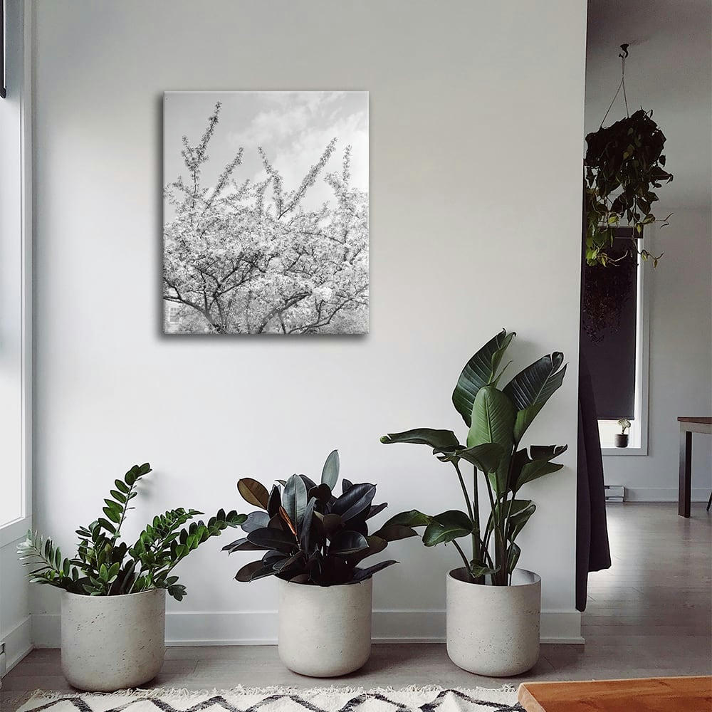 - Tableau impression sur toile branches blanches à fleurs 60x90cm
