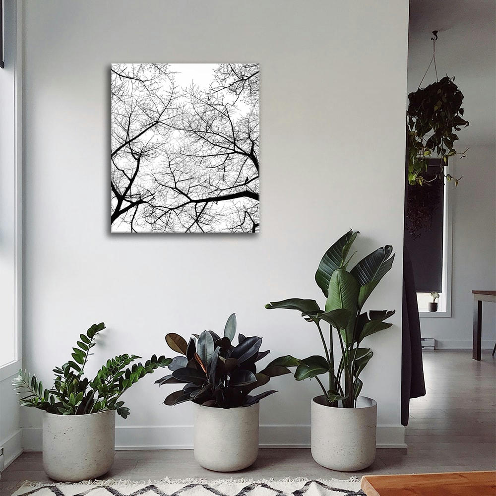 - Tableau impression sur toile le ciel en hiver 60x75cm