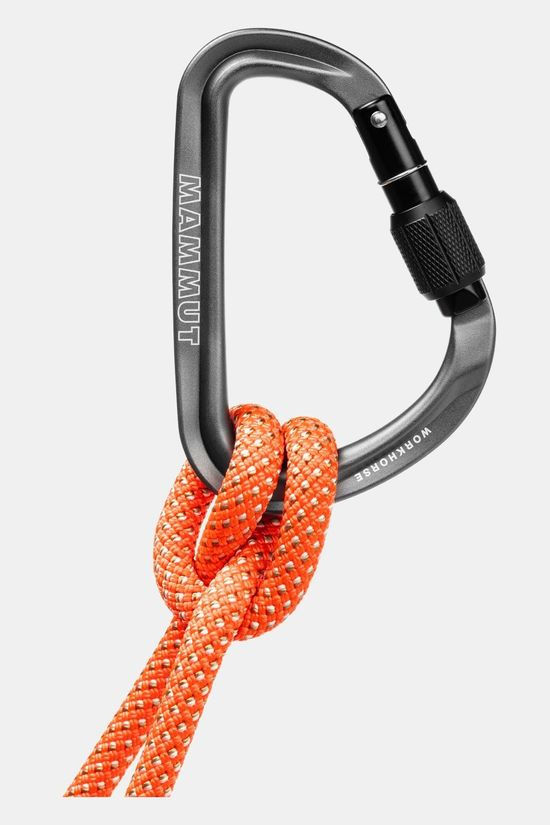 Mammut Workhorse HMS Screwgate Carabiner
