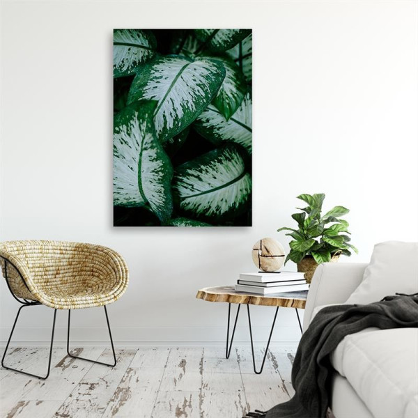 Feeby Obraz na płótnie, Tropikalne liście natura 40x60