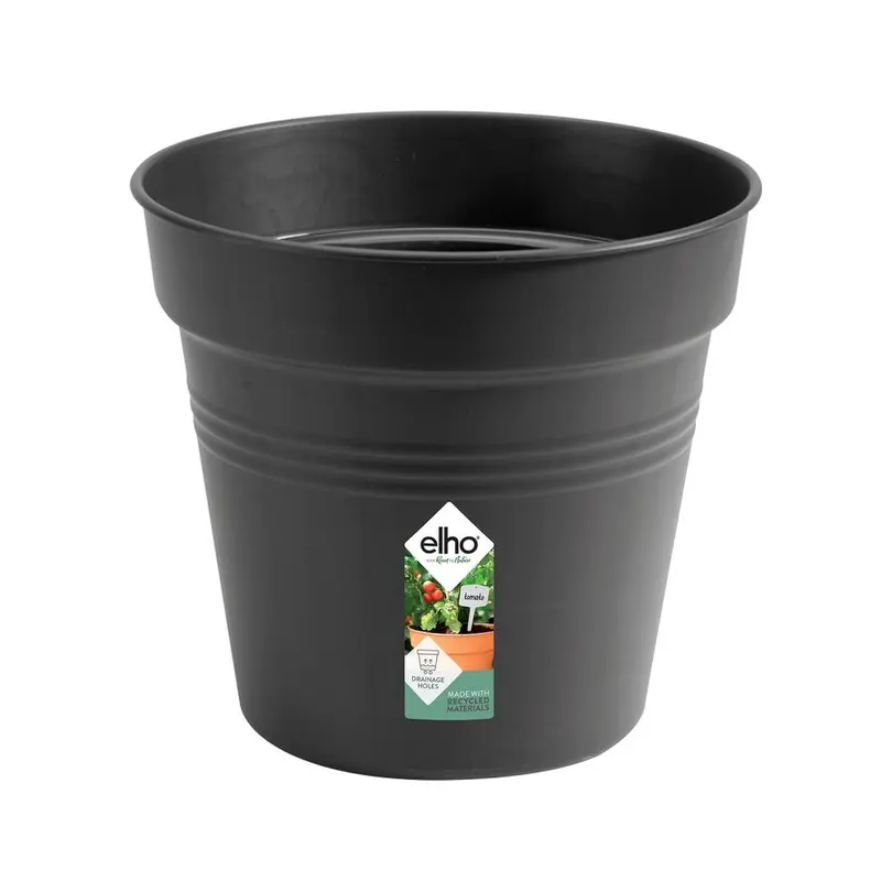 Blumentopf green basics