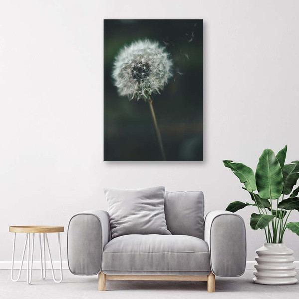 Feeby Obraz na płótnie Dmuchawiec na wietrze 40x60