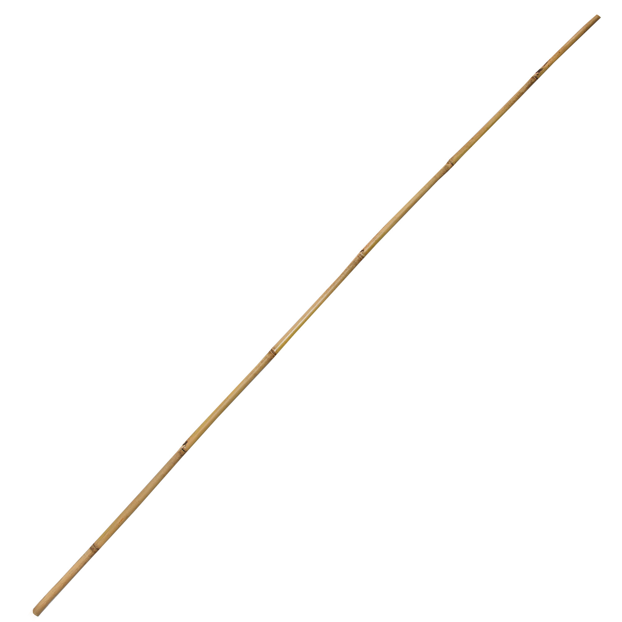 Tyczka Bambusowa 4iQ Group podpora do roślin 180cm 20-22mm zestaw 25szt.
