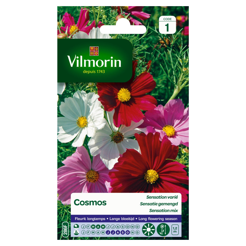 Semences de cosmos Sensation varié VILMORIN