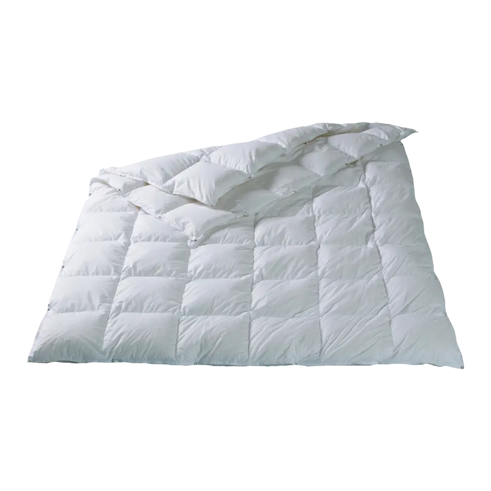 Duvet Genève