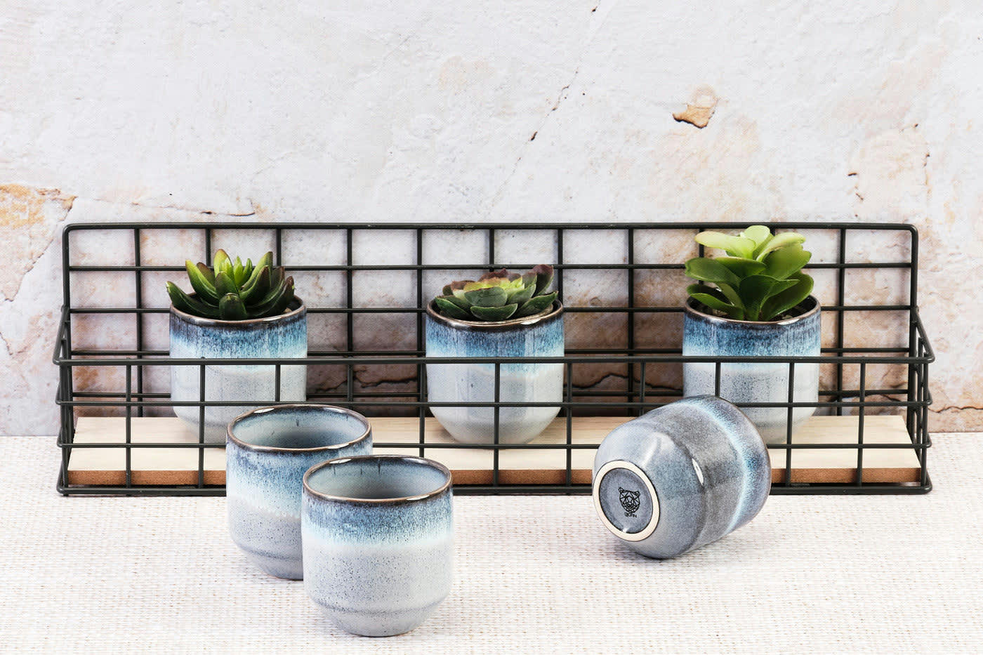 GENESIS - Lot de 6 tasses en grès bleu D7,2