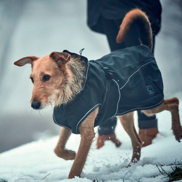 Hundemantel »Uppsala«, Hundemantel Uppsala Softshell 55, schwarz