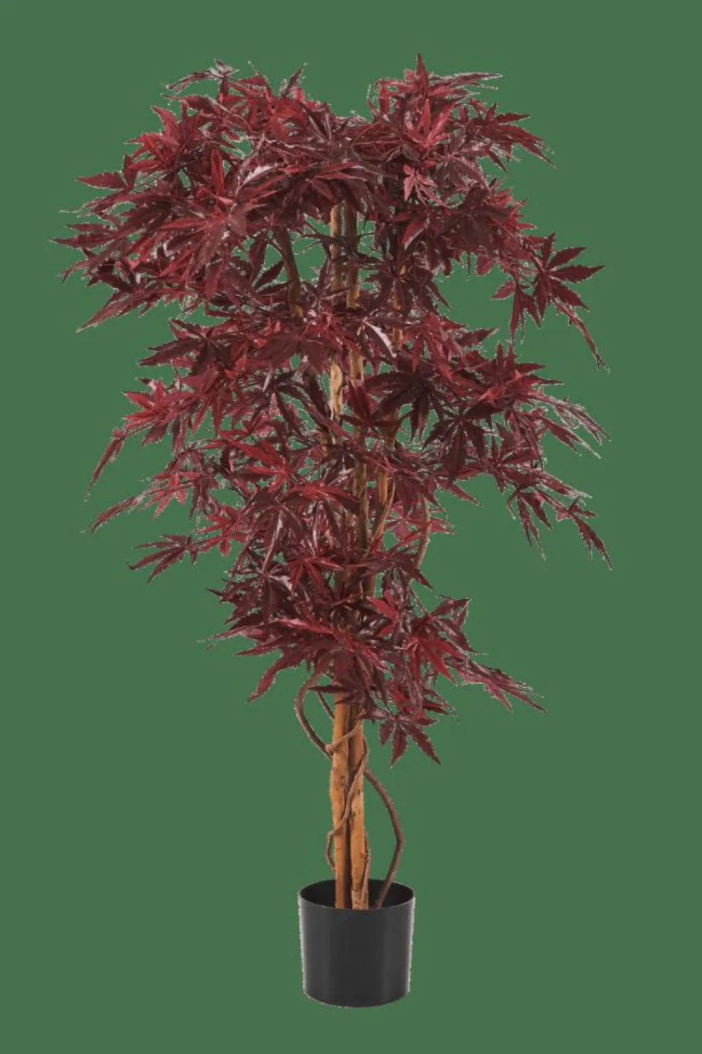 Plantes Artificielles^CASA MAPLE Plante Artificielle Diverses Couleurs