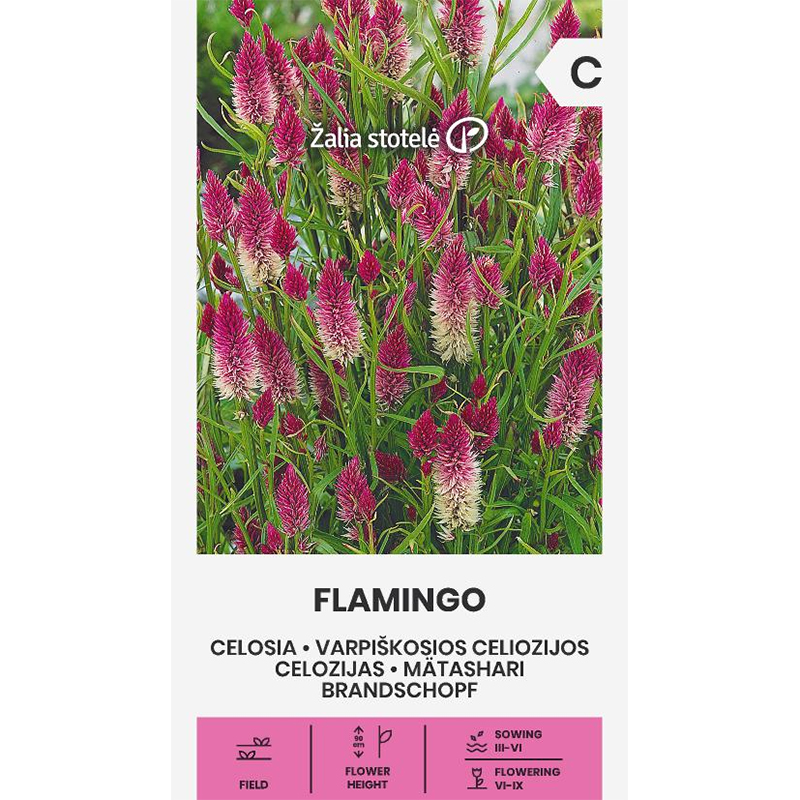 Axamarant 'Flamingo'